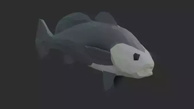 Low Poly Black Jewfish