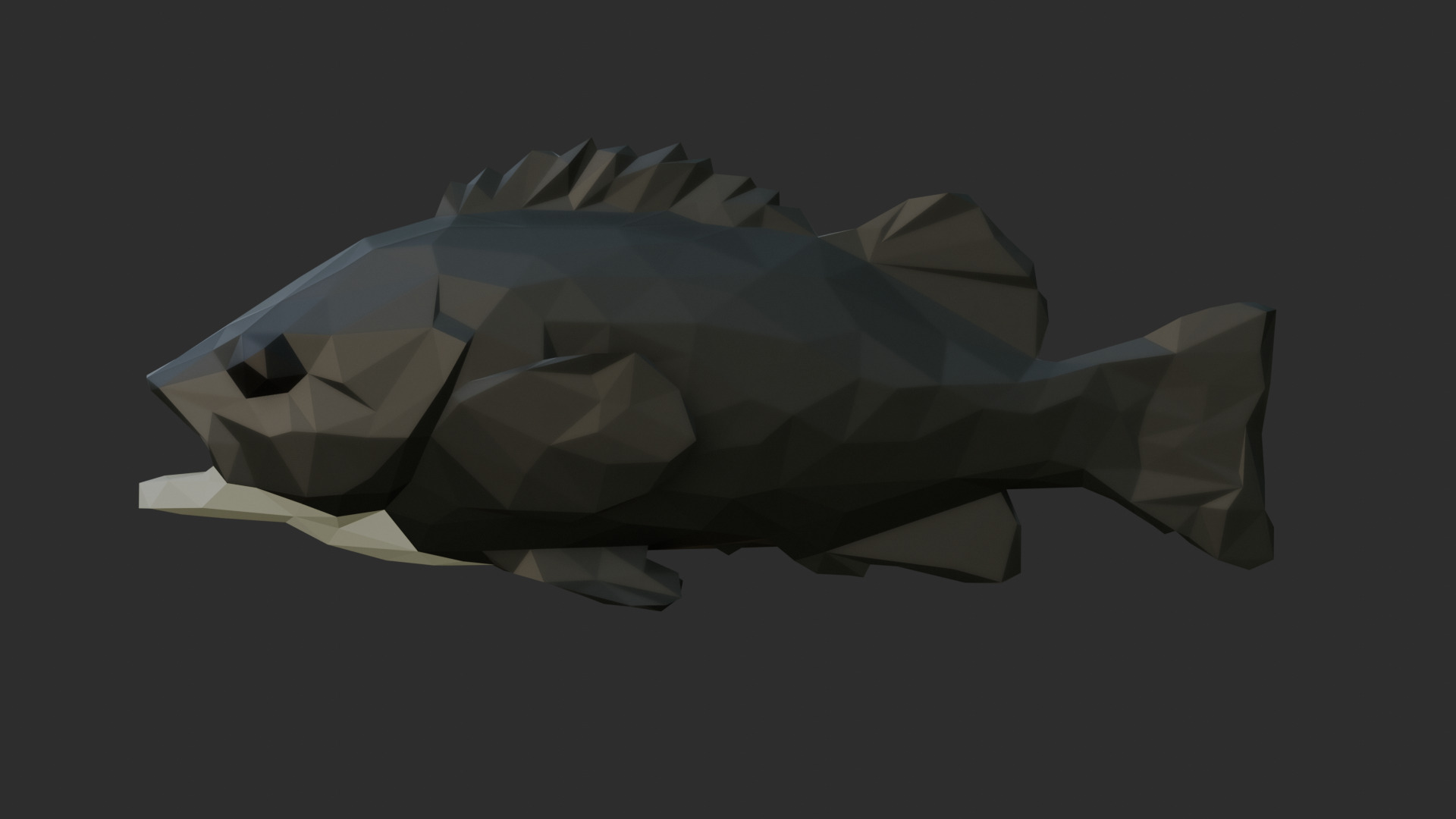 Low Poly Black Rockfish Low-poly 3D model_2