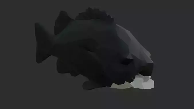 Low Poly Black Rockfish