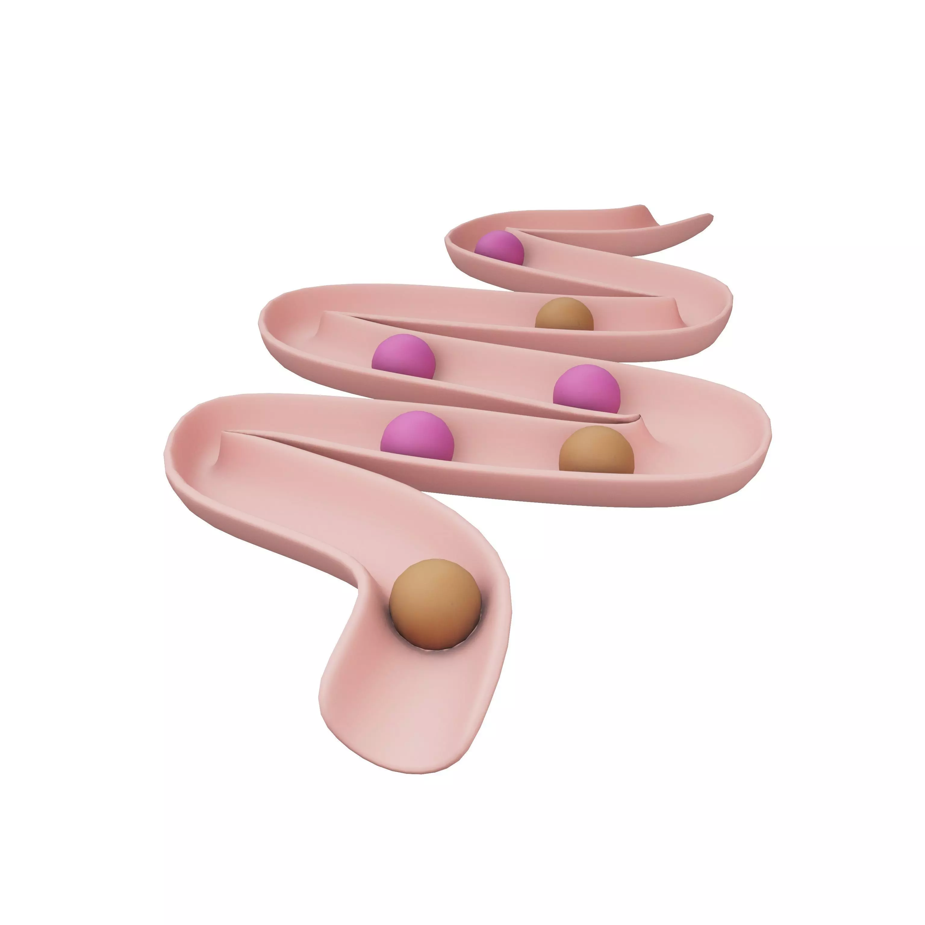 Intestinal Digestion Model v1 001 Low-poly 3D model