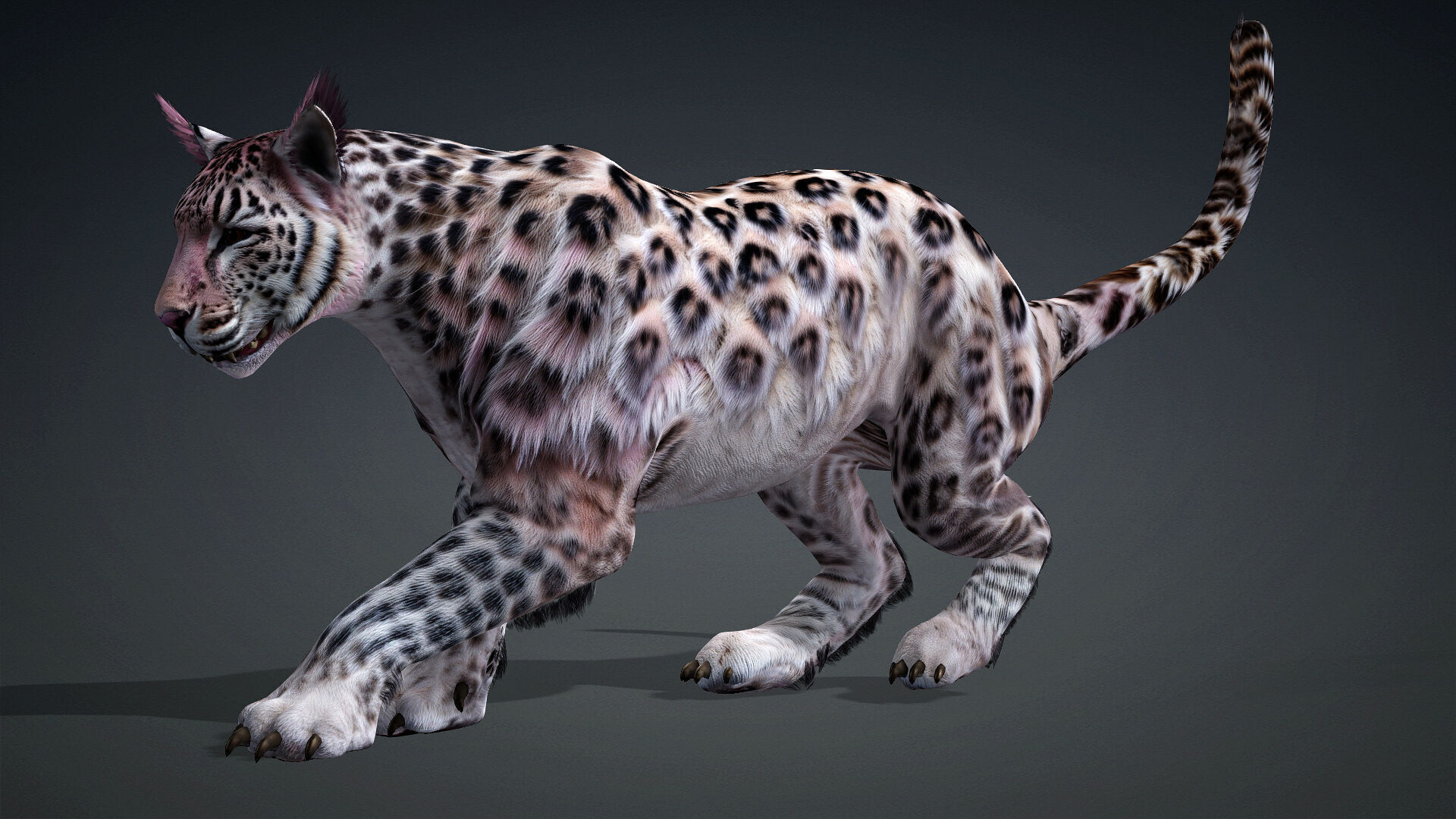 Panther-B1 3D model_3