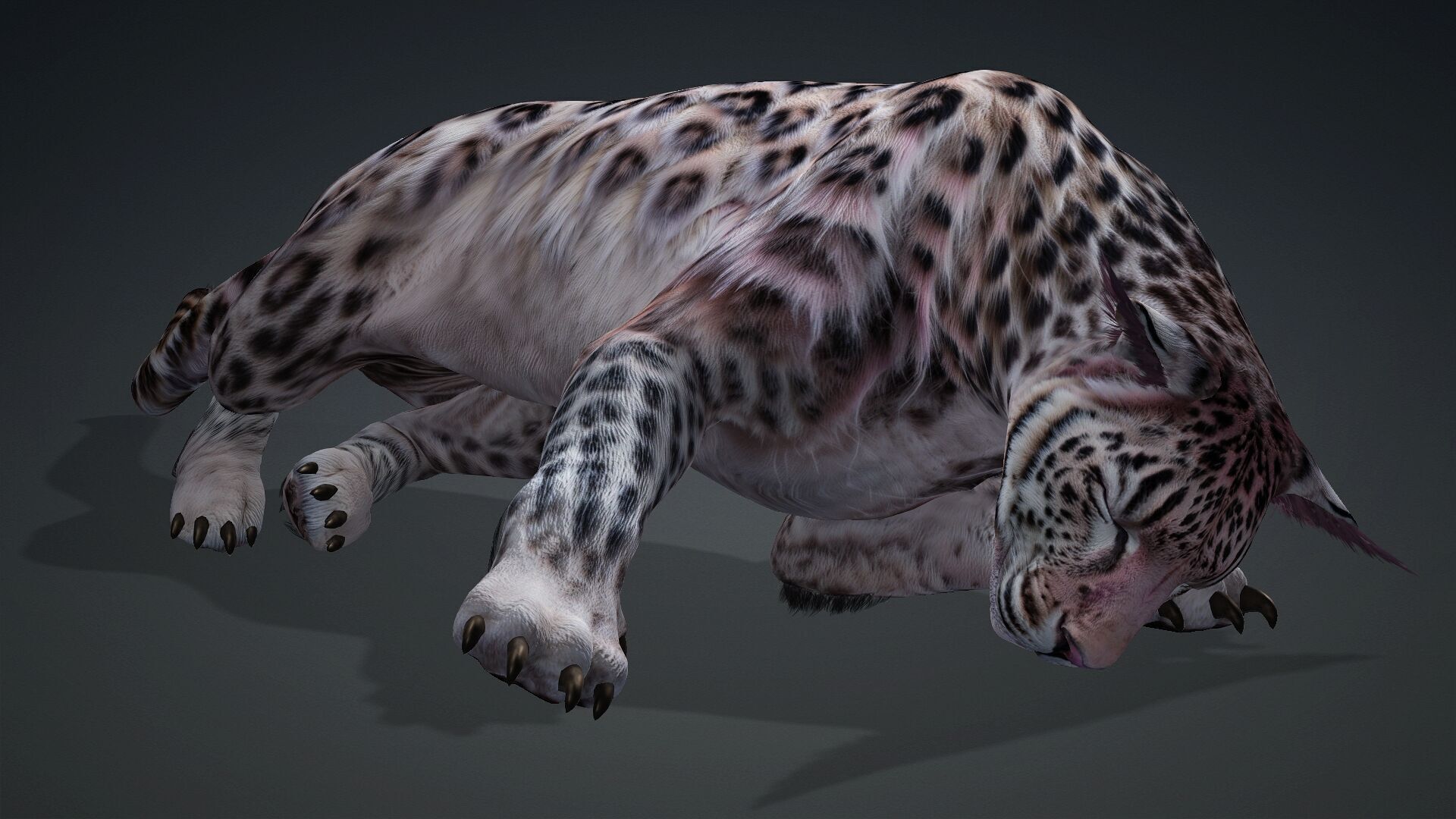 Panther-B1 3D model_17