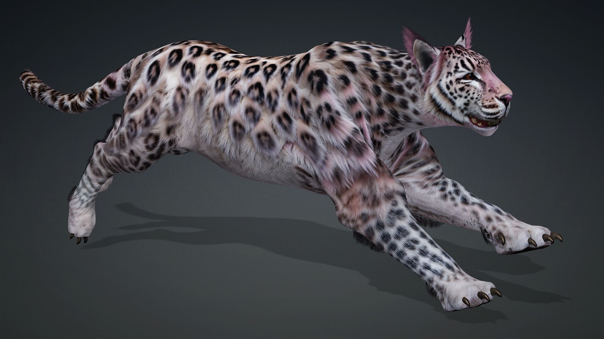 Panther-B1 3D model_8