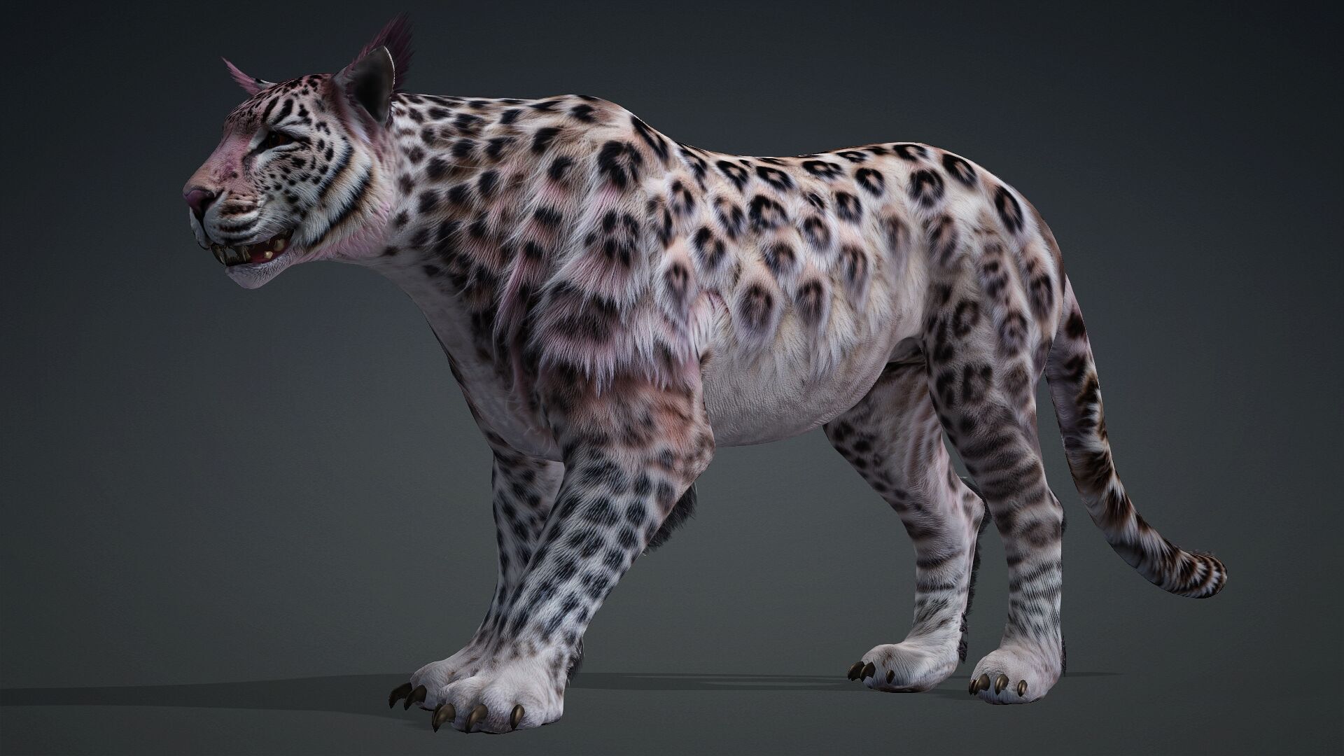 Panther-B1 3D model_2