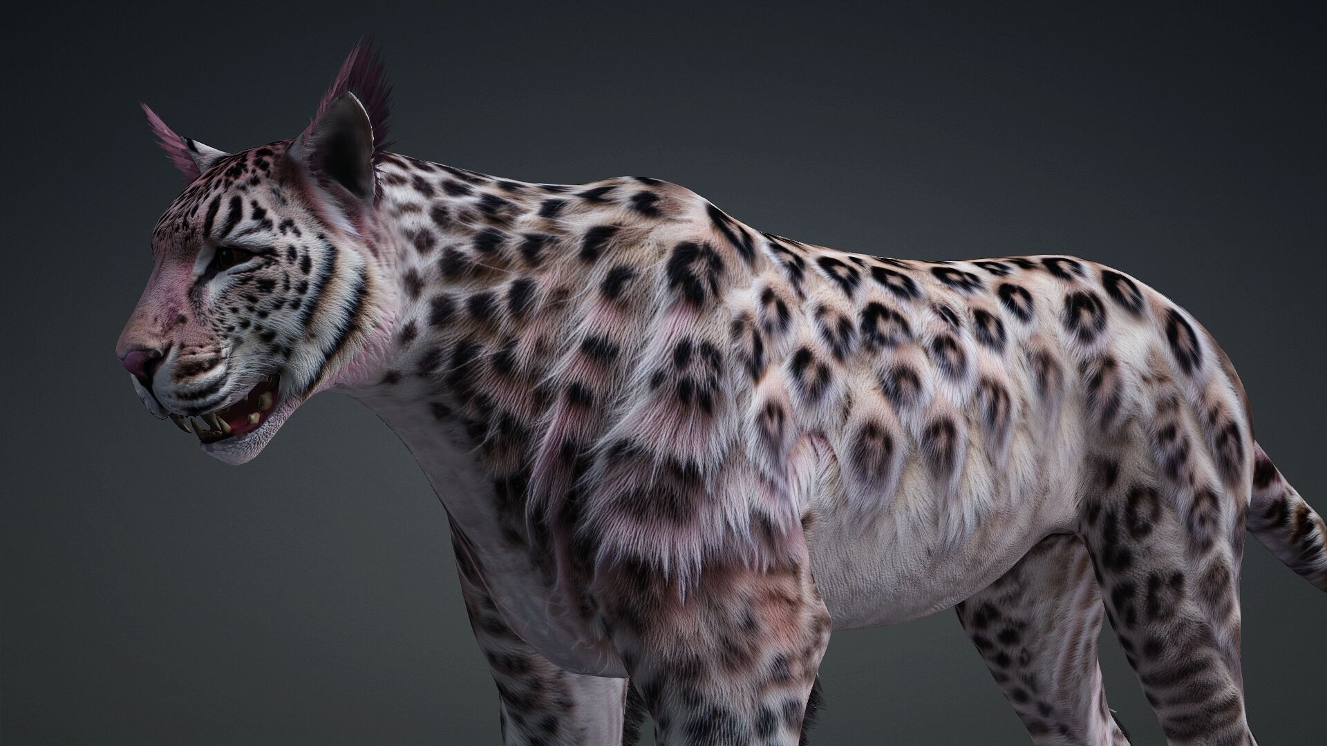 Panther-B1 3D model_13