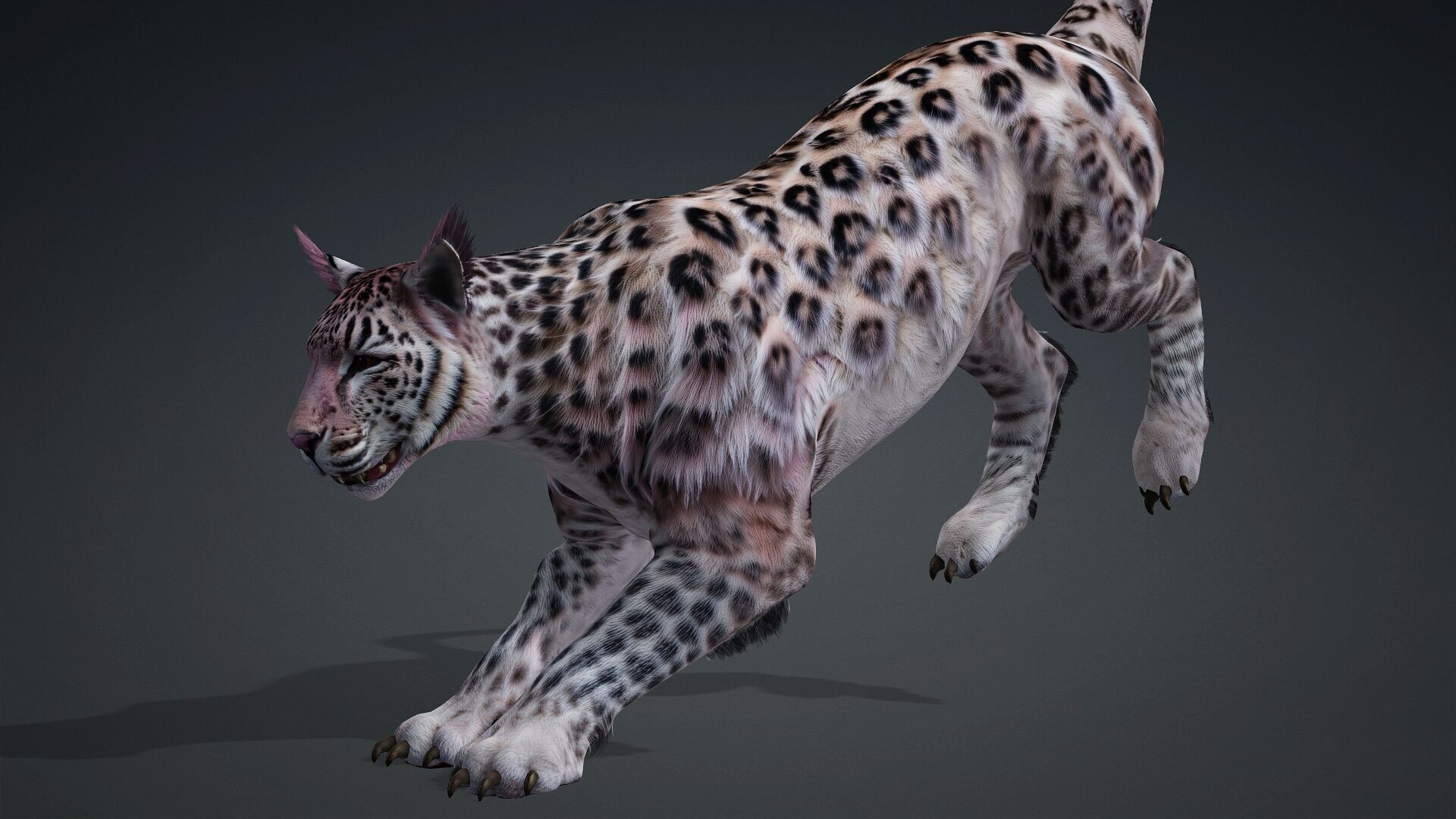 Panther-B1 3D model_18