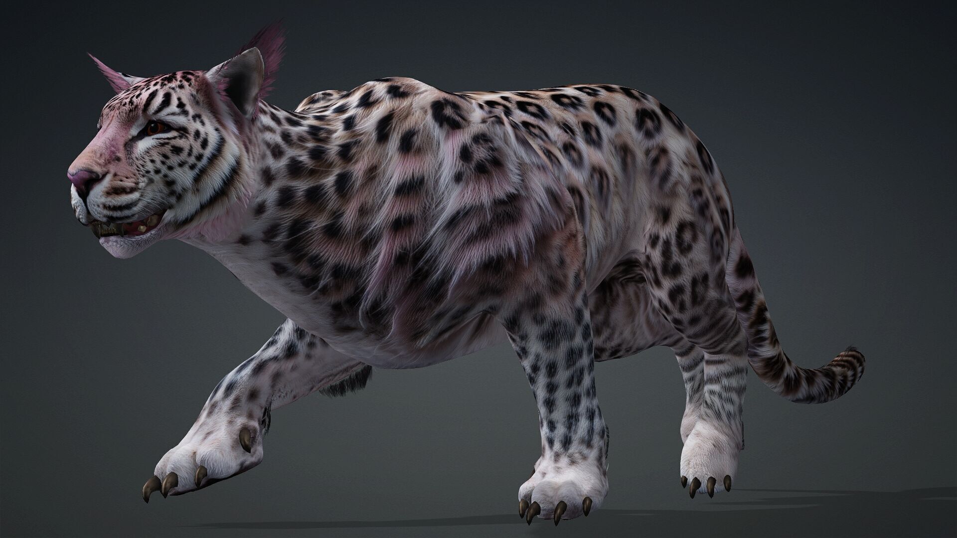 Panther-B1 3D model_7