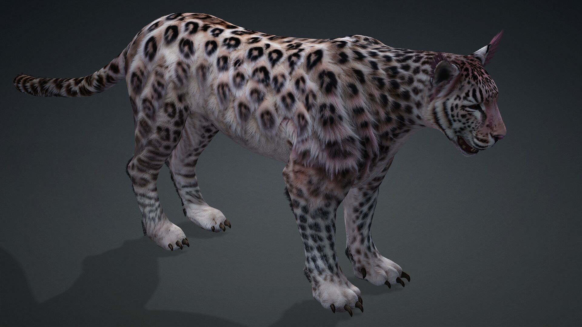 Panther-B1 3D model_12