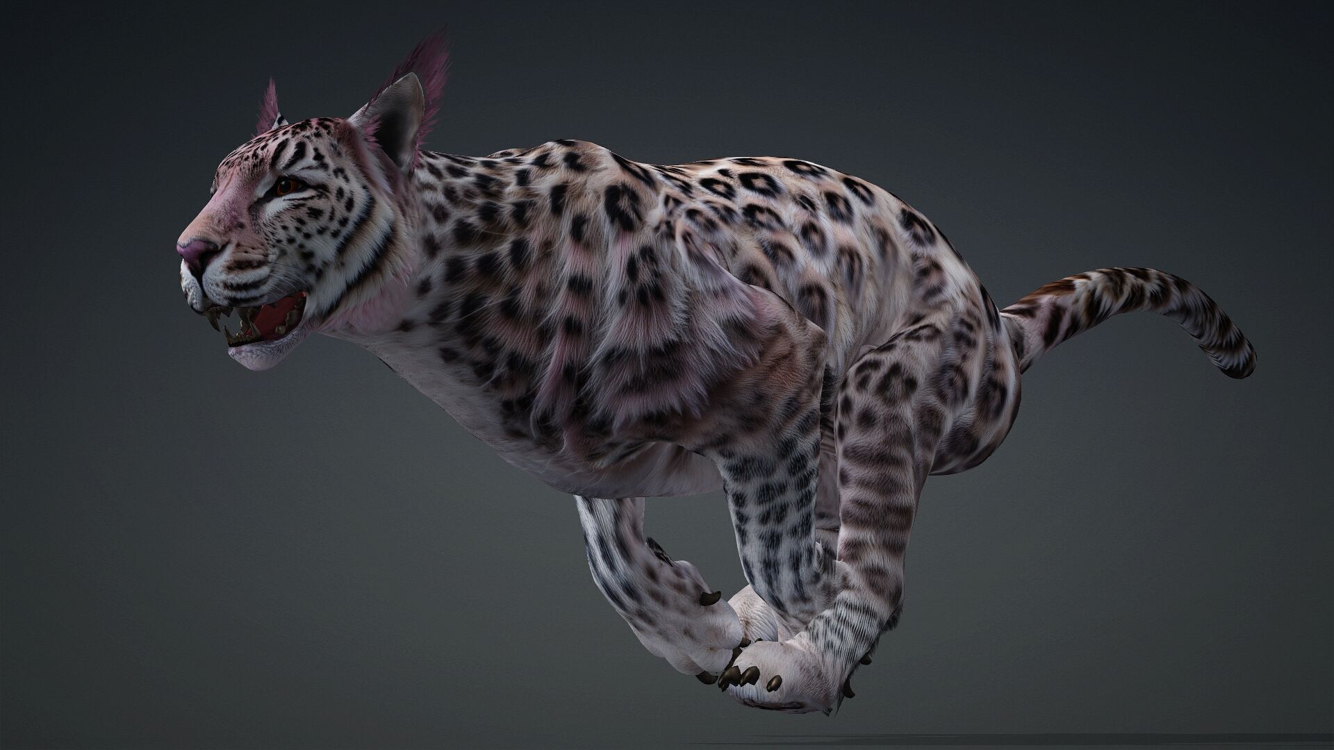 Panther-B1 3D model_10