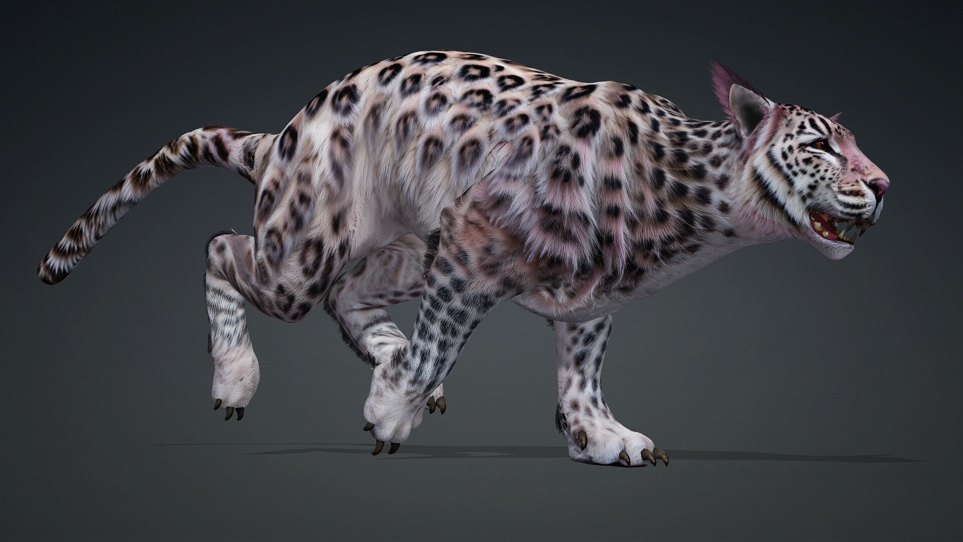 Panther-B1 3D model_9