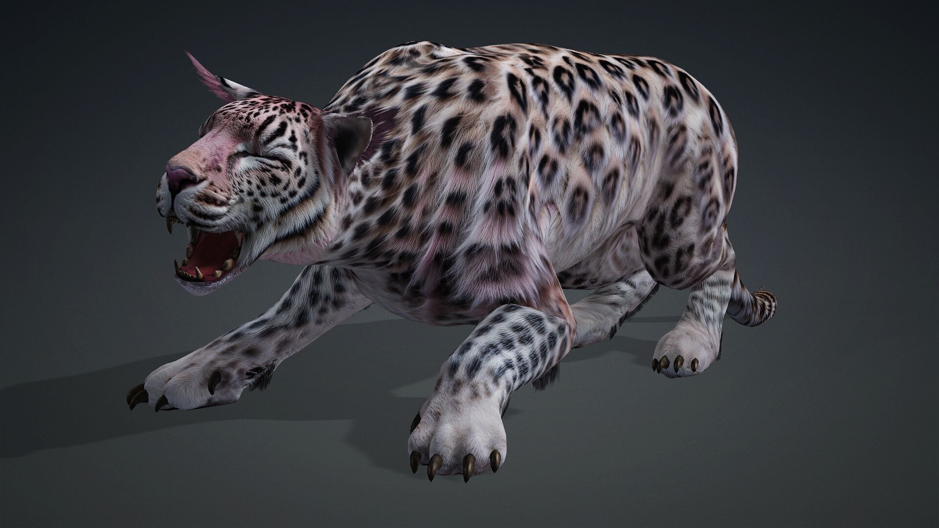 Panther-B1 3D model_16