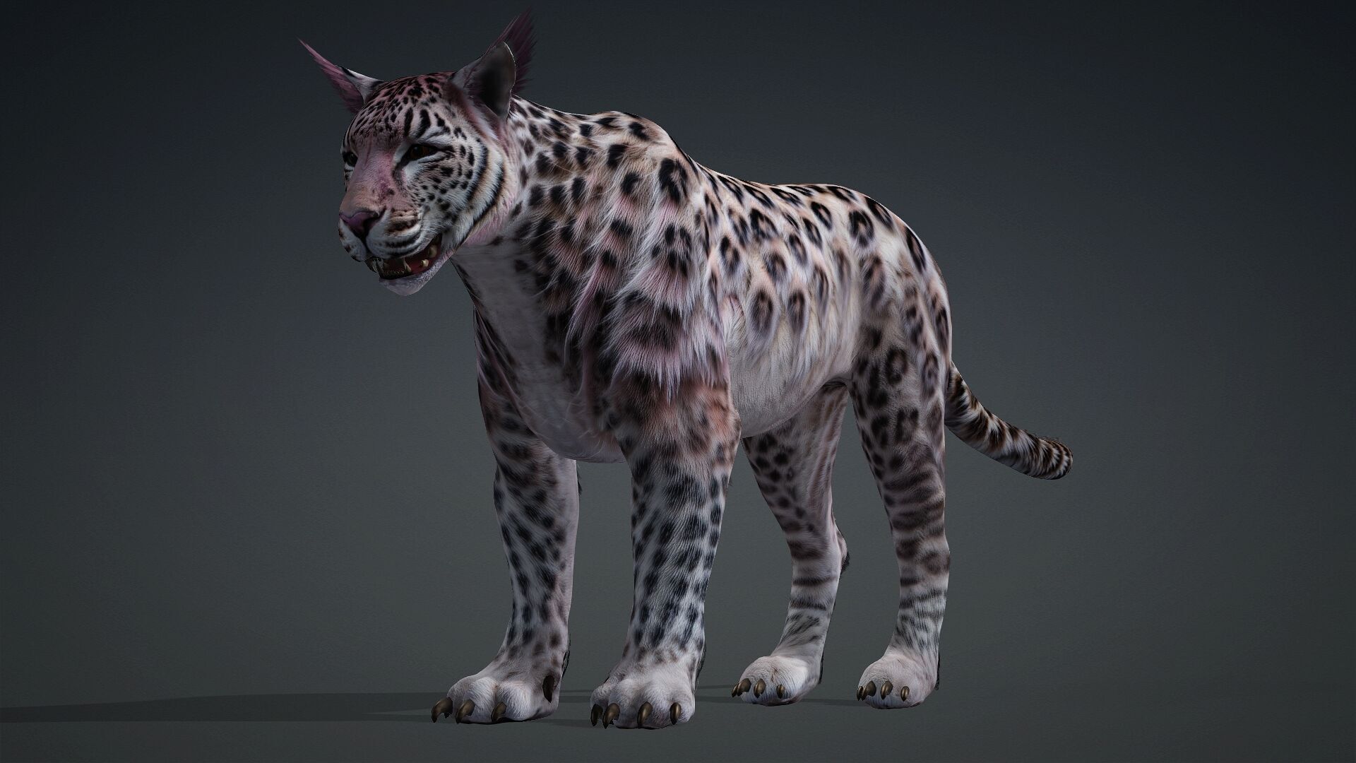 Panther-B1 3D model_4