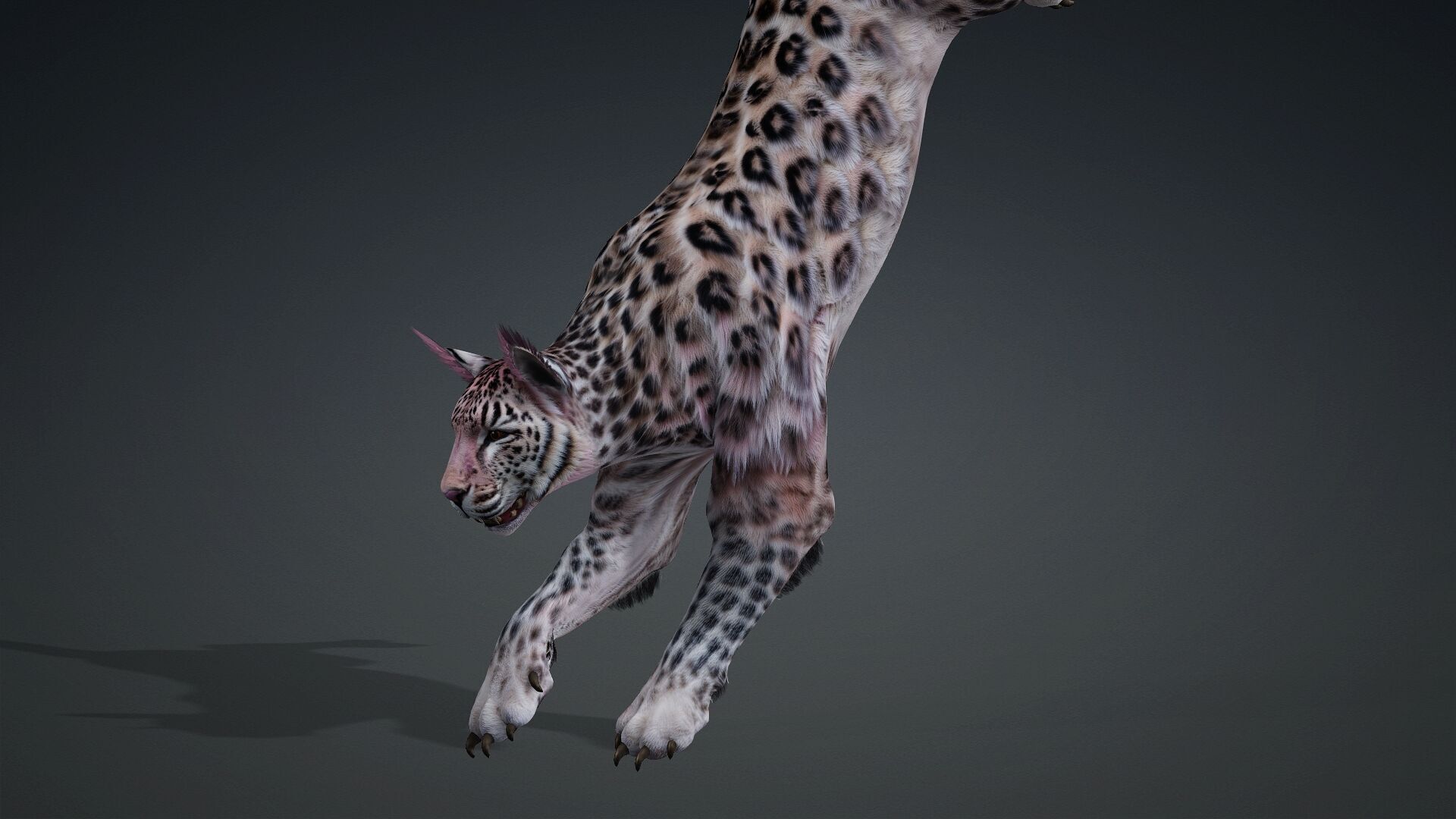 Panther-B1 3D model_5