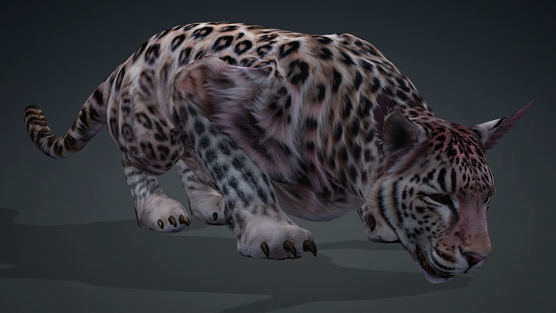 Panther-B1 3D model_15