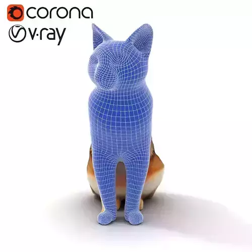 Realistic Domestic Cat D Animal model pack