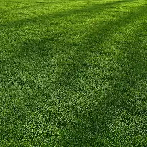 High-Quality 3D Grass Field Model Low-poly 3D model