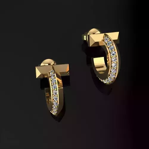 Tiffany Earrings