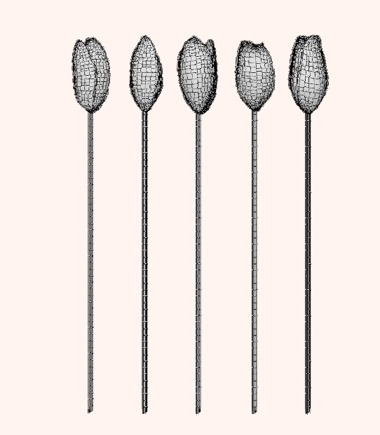 Bouquet of Yellow Tulips 3D model_12