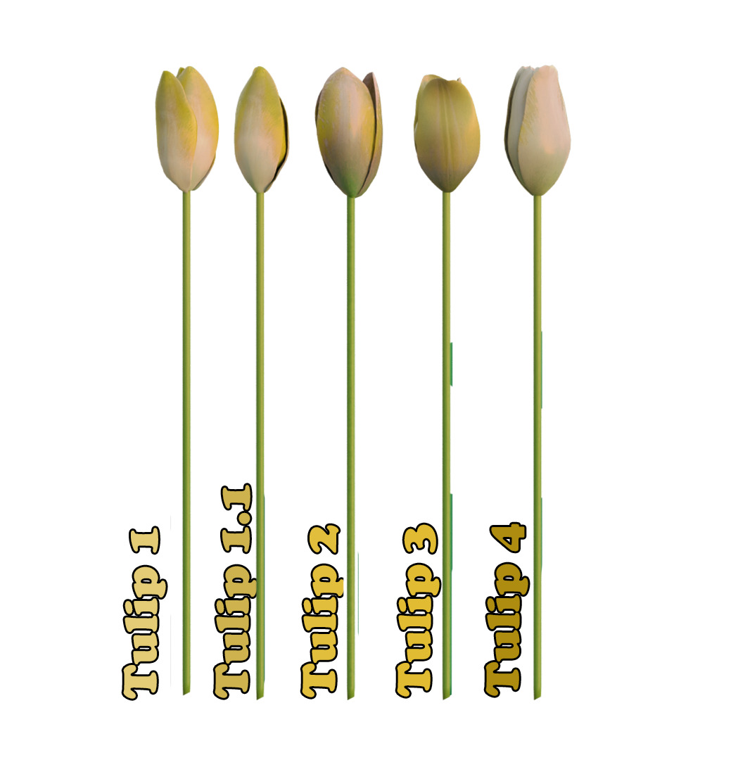 Bouquet of Yellow Tulips 3D model_5