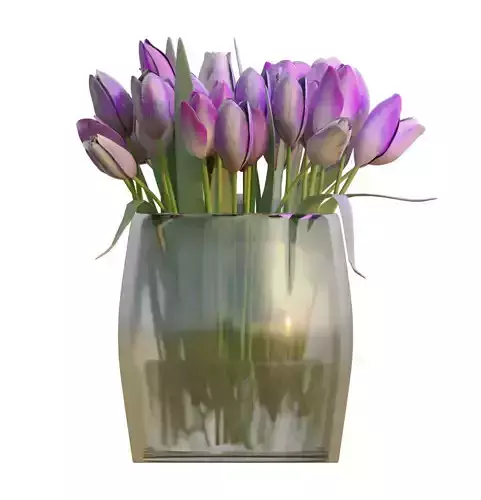 Bouquet of Purple Tulips 