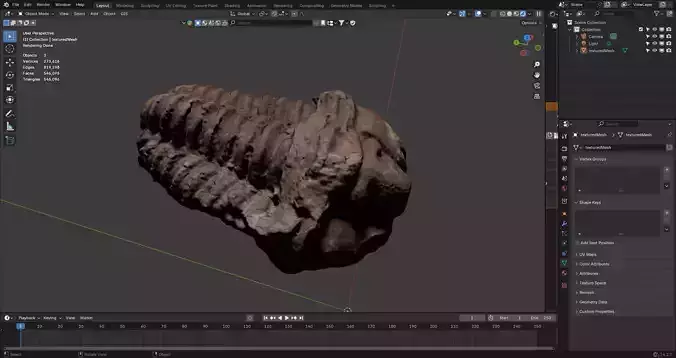 Trilobite fossil 3d scan photogrammetry 3D model 
