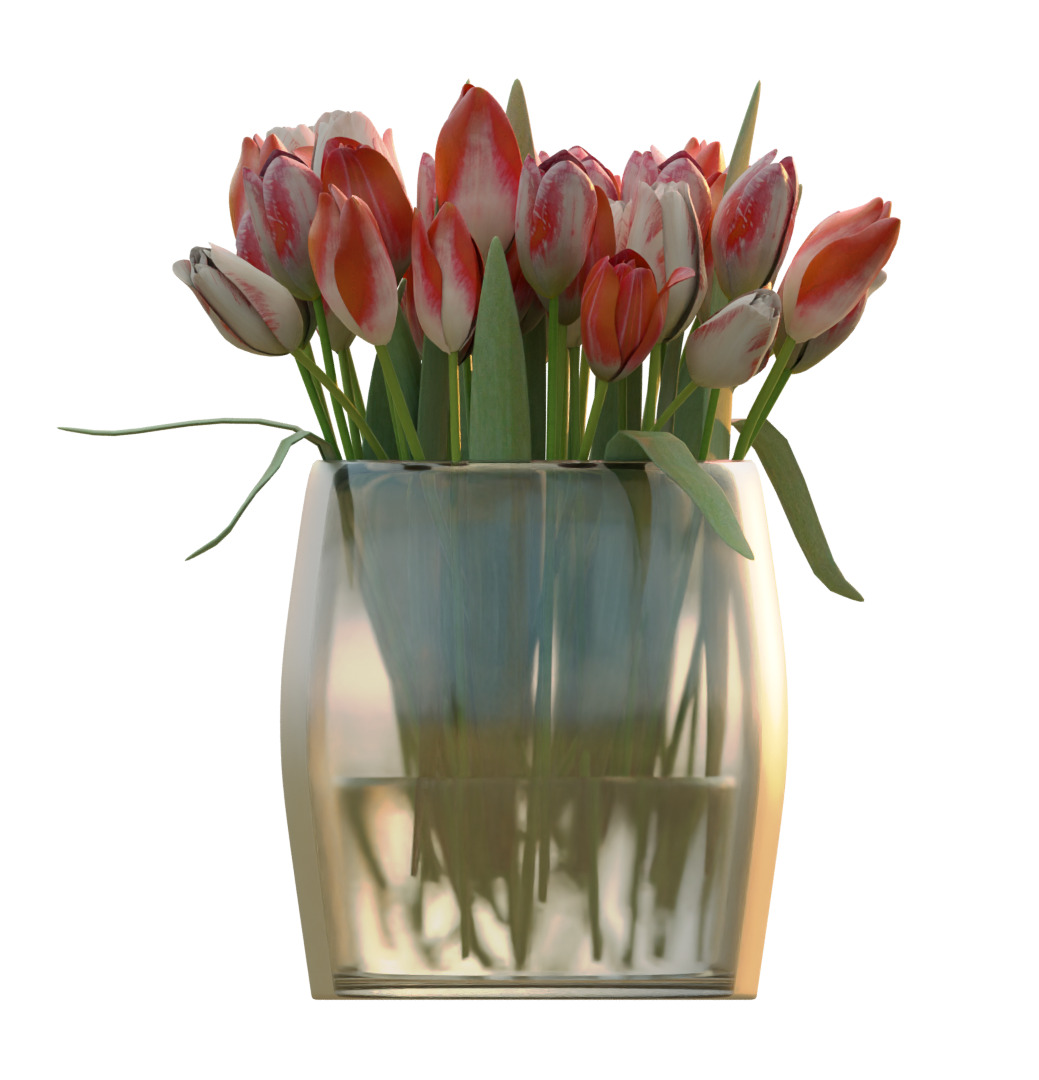  Bouquet of Red Tulips 3D model_3