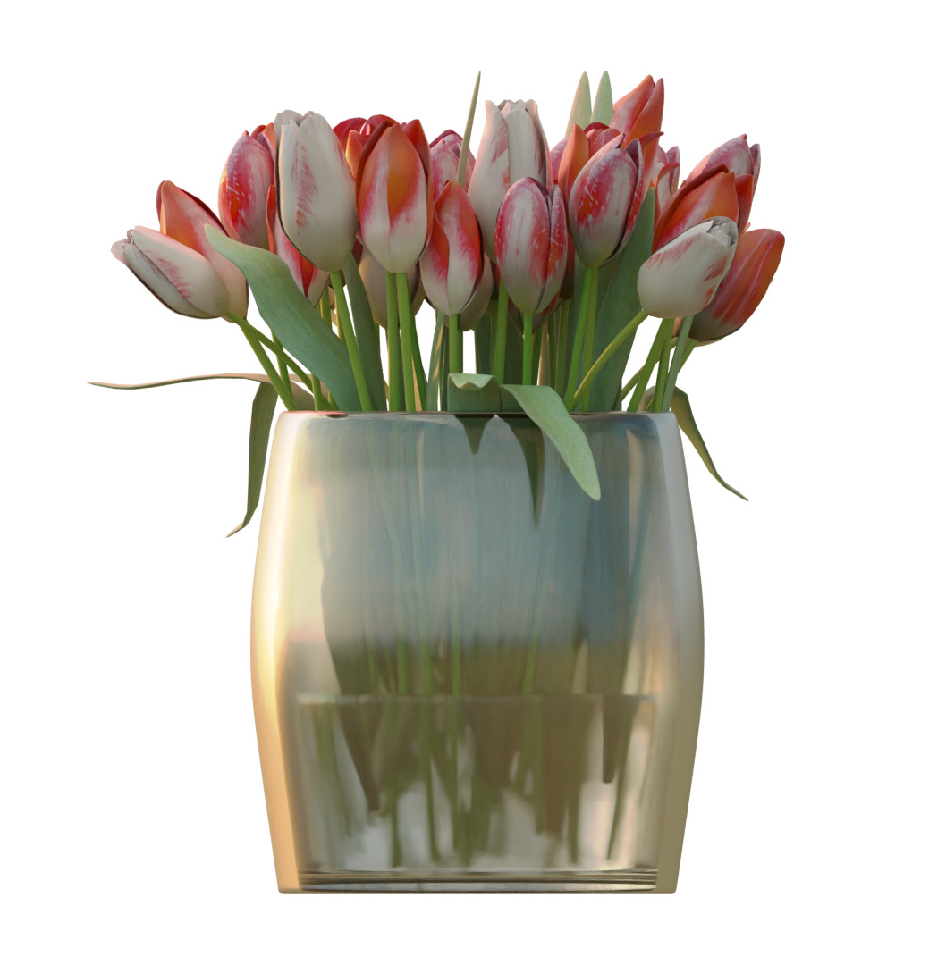  Bouquet of Red Tulips 3D model_2