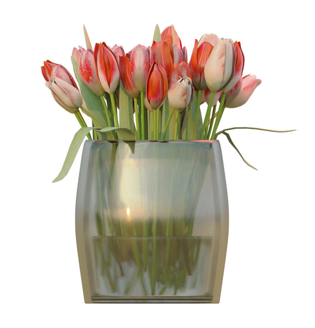  Bouquet of Red Tulips 3D model_1