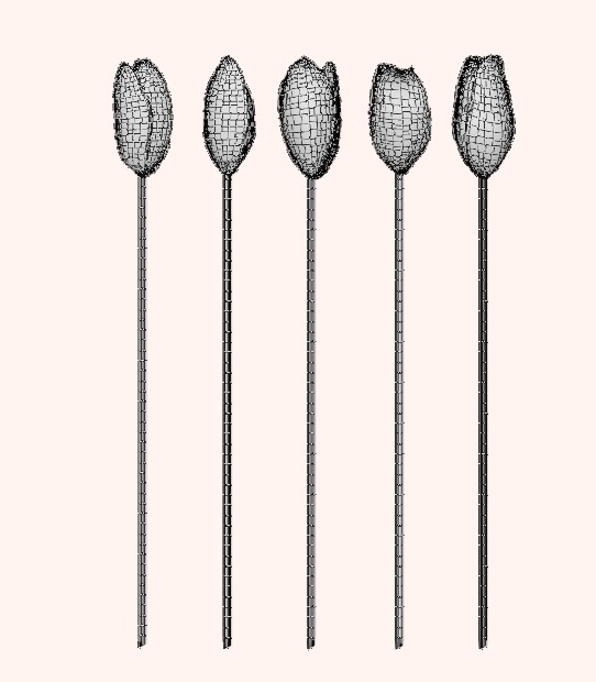 Set of 4 Tulip Bouquets 3D Model Collection_12