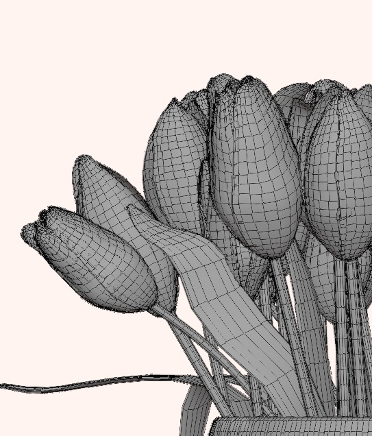 Set of 4 Tulip Bouquets 3D Model Collection_10