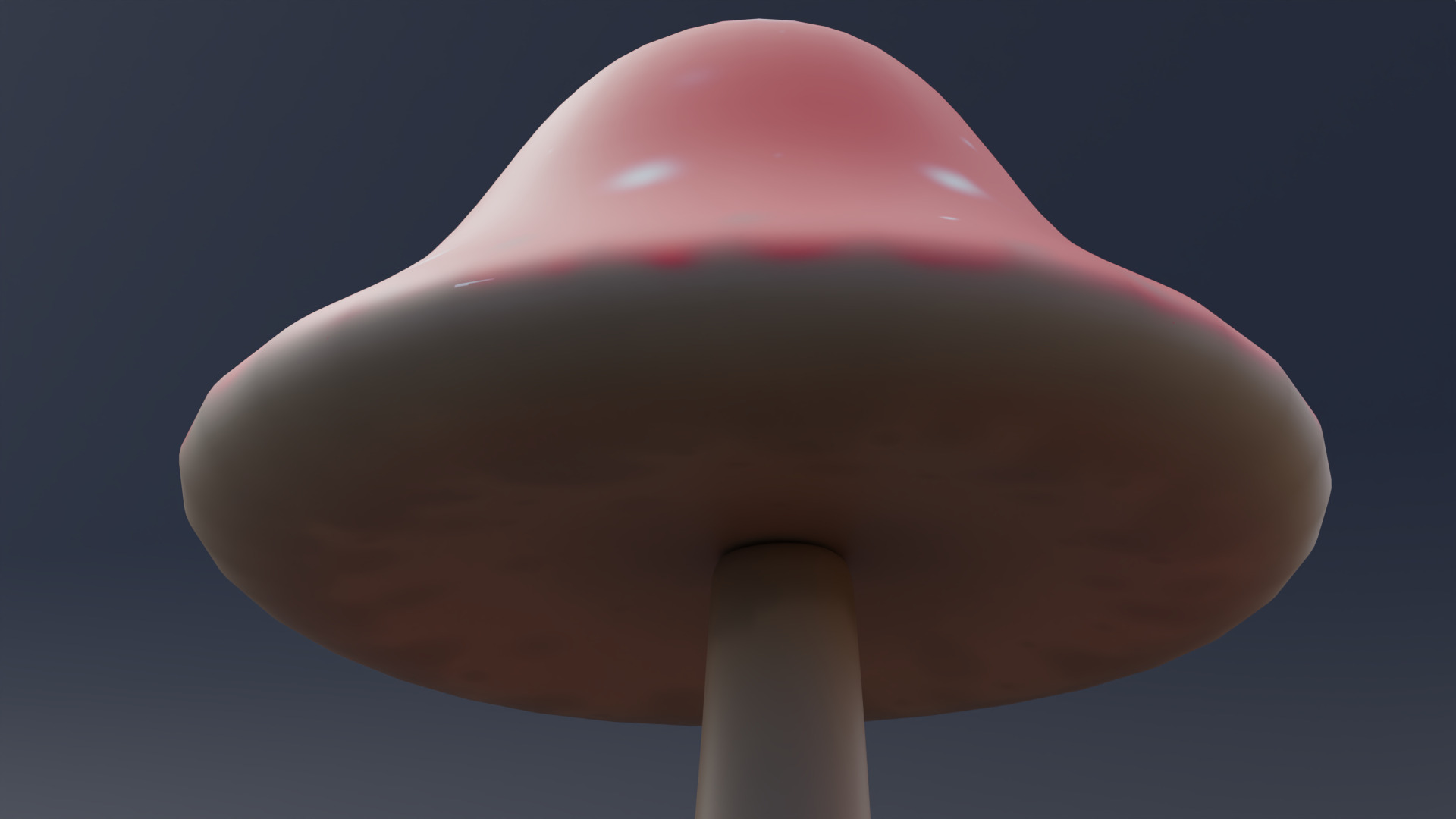 Mushroom - Fungi Low-poly 3D model_5
