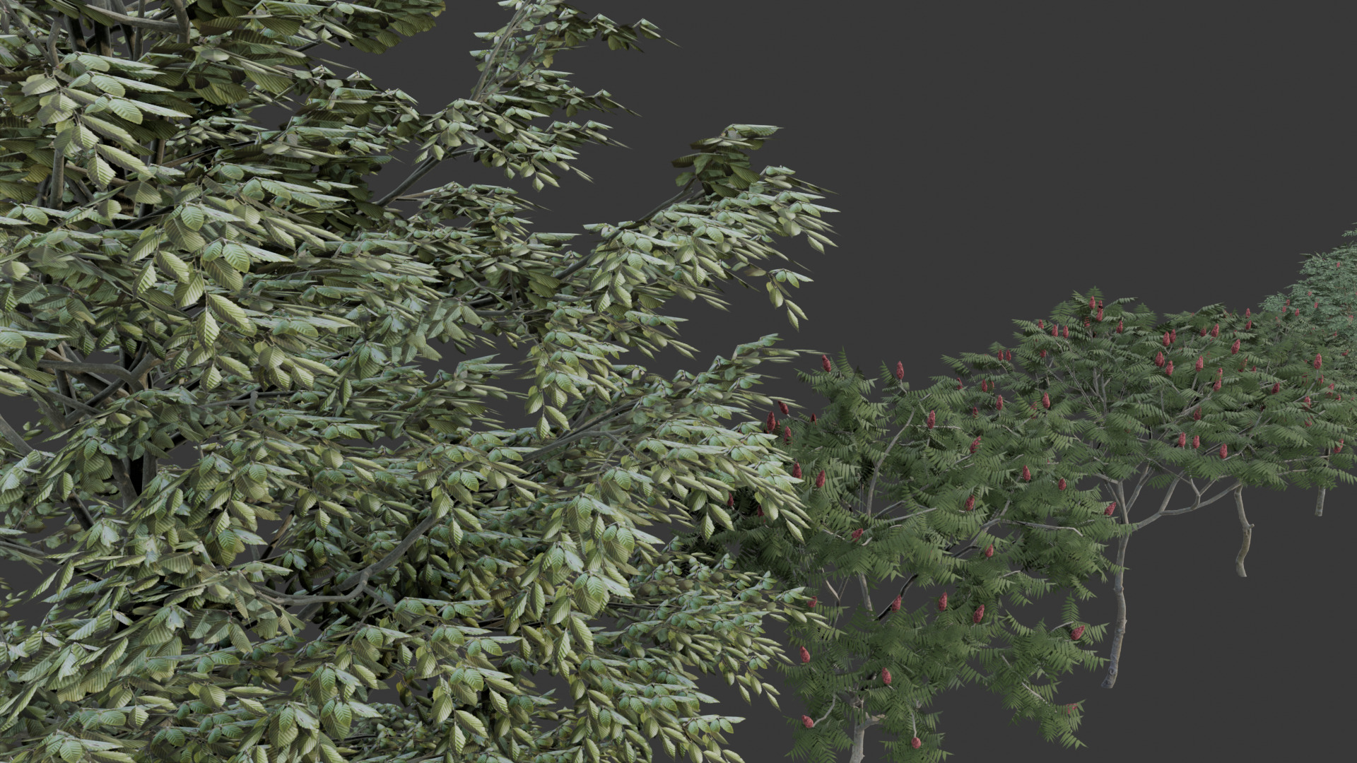 Low Poly Free Tree Pack 1 Free low-poly 3D model_7