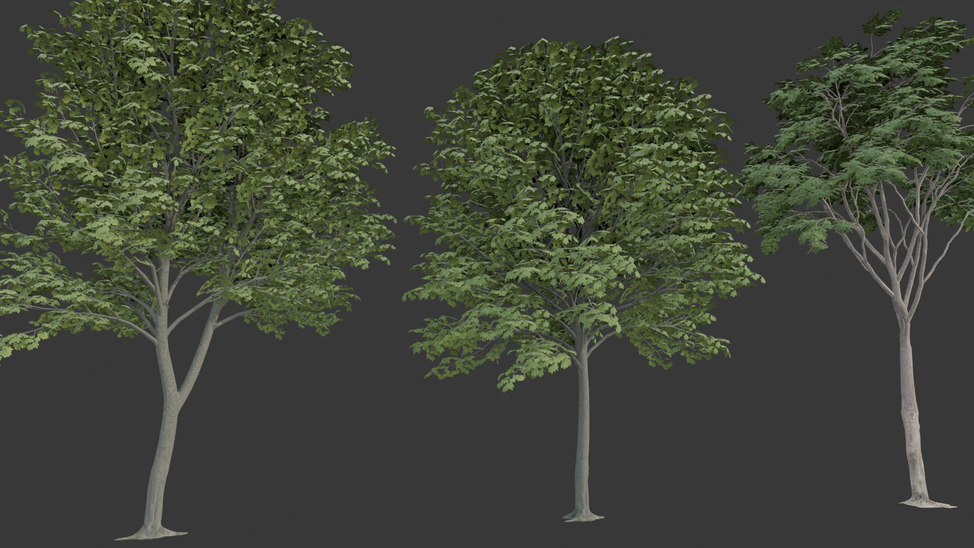 Low Poly Free Tree Pack 1 Free low-poly 3D model_3