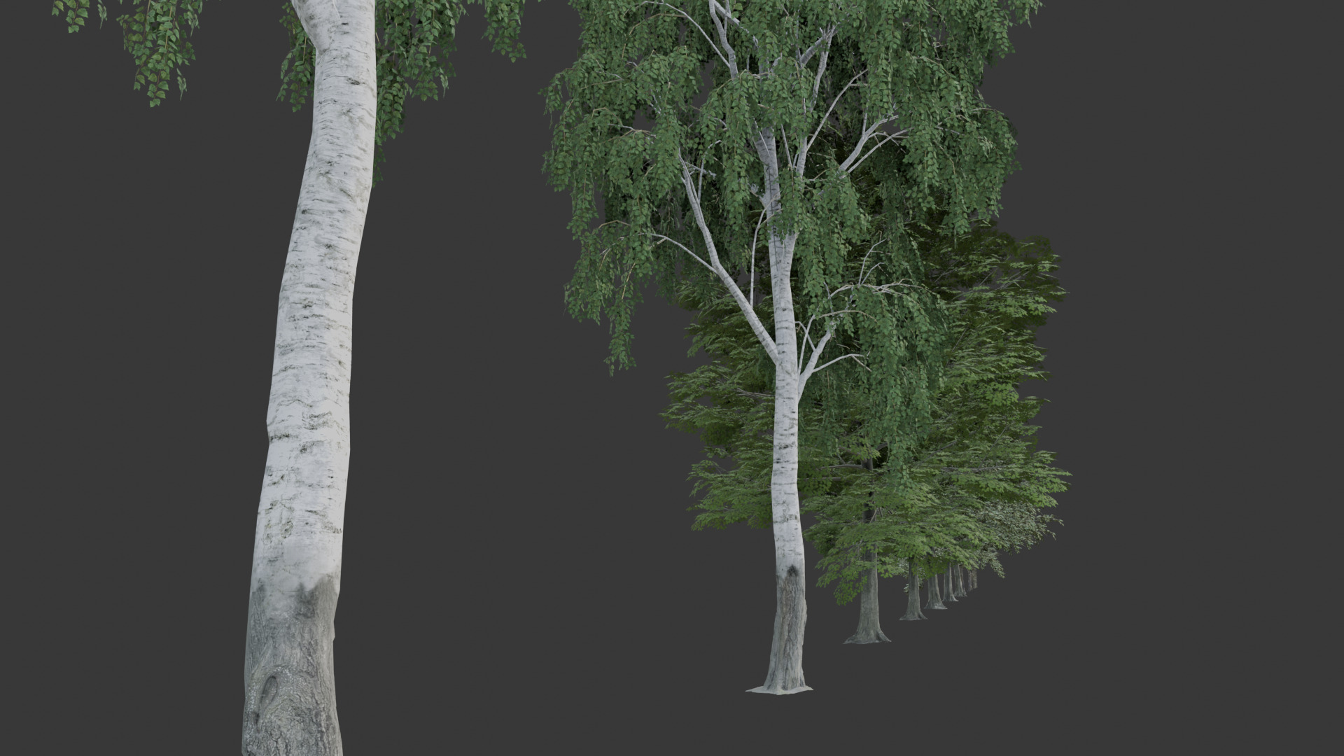 Low Poly Free Tree Pack 1 Free low-poly 3D model_5