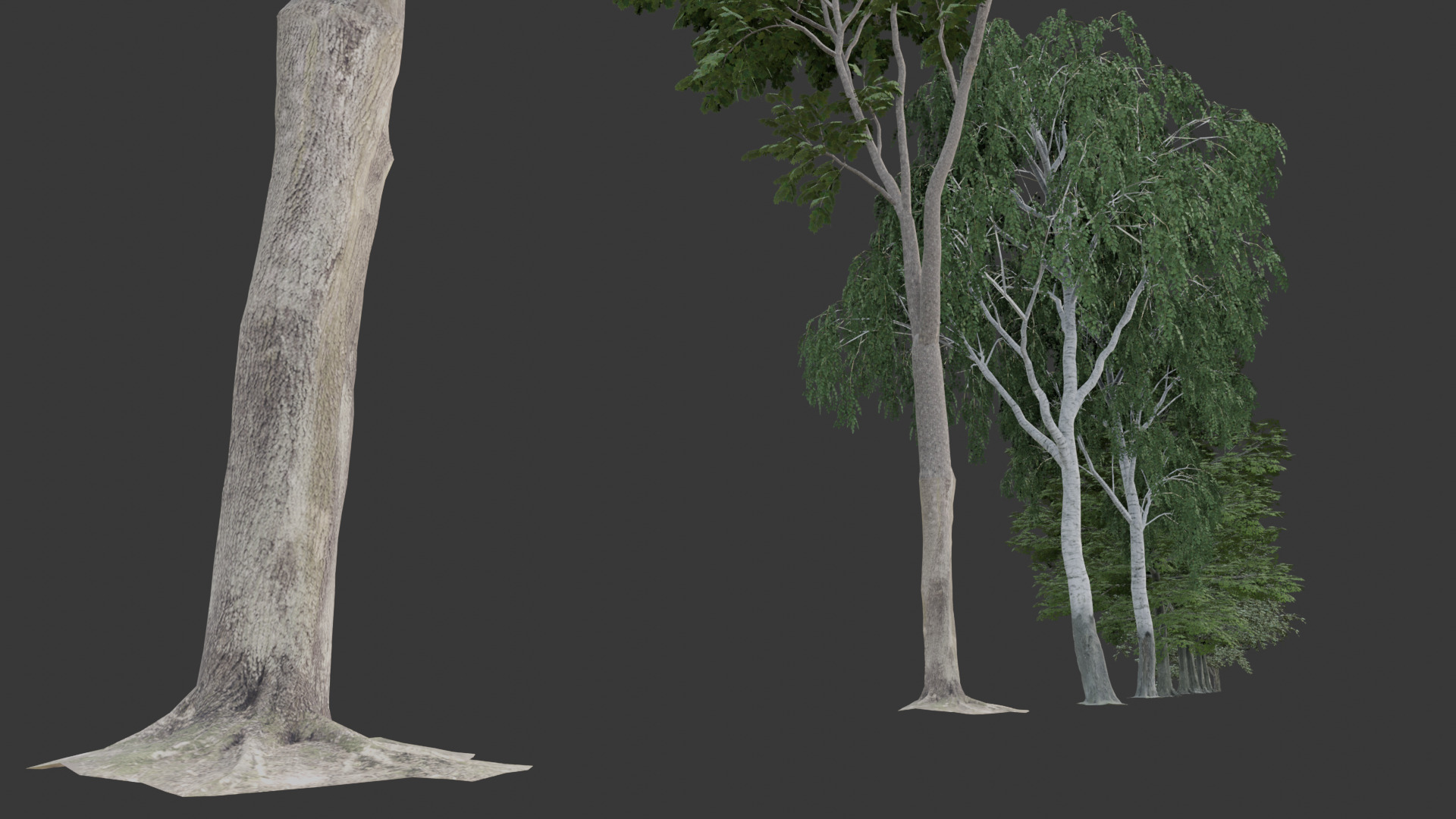 Low Poly Free Tree Pack 1 Free low-poly 3D model_4