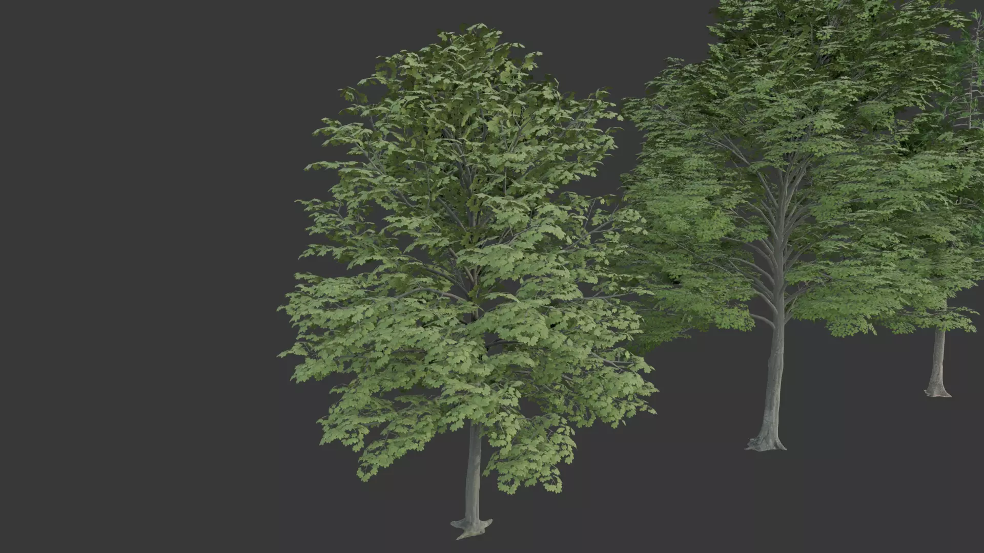 Low Poly Free Tree Pack 1 Free low-poly 3D model_0
