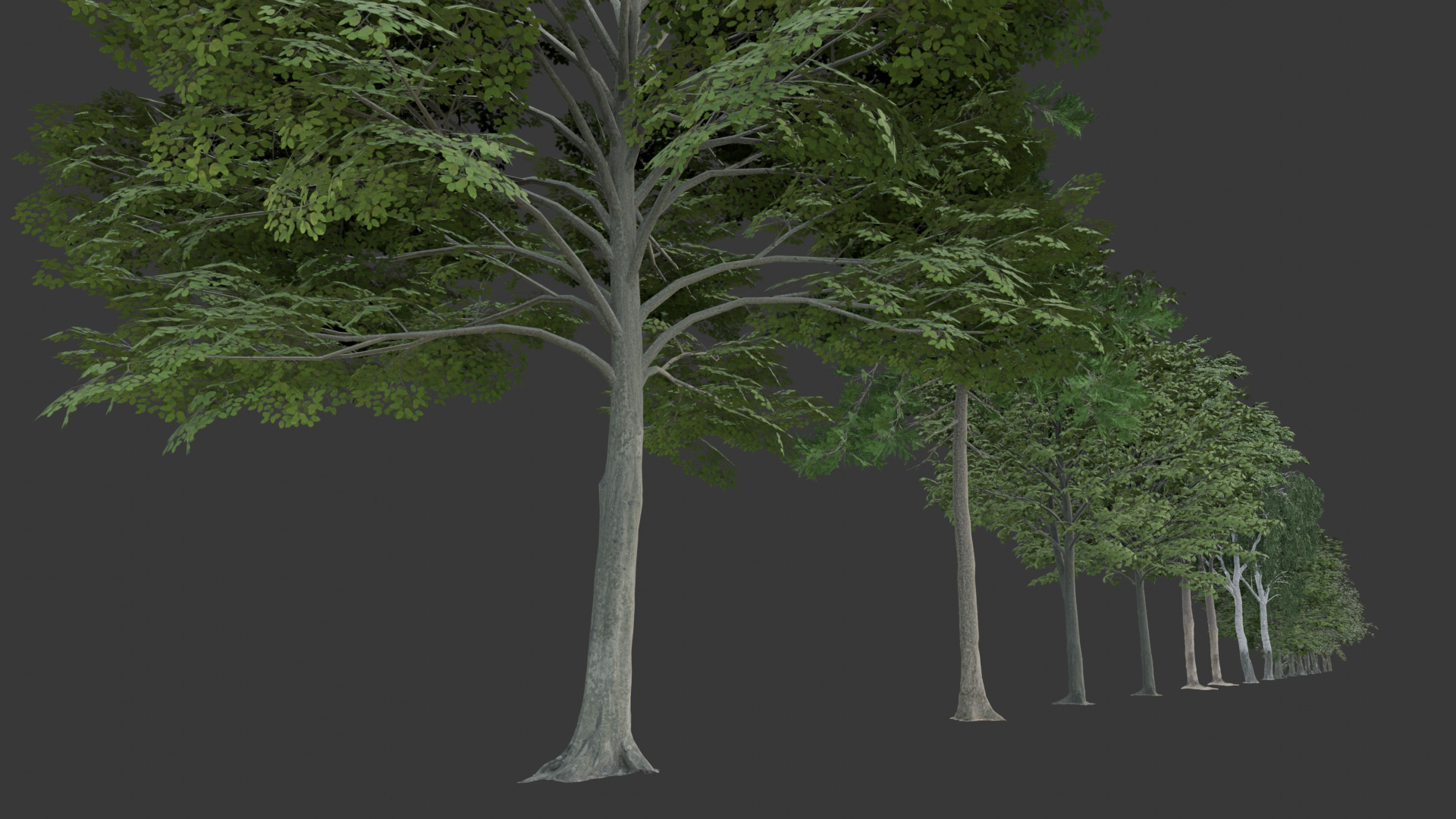 Low Poly Free Tree Pack 1 Free low-poly 3D model_1