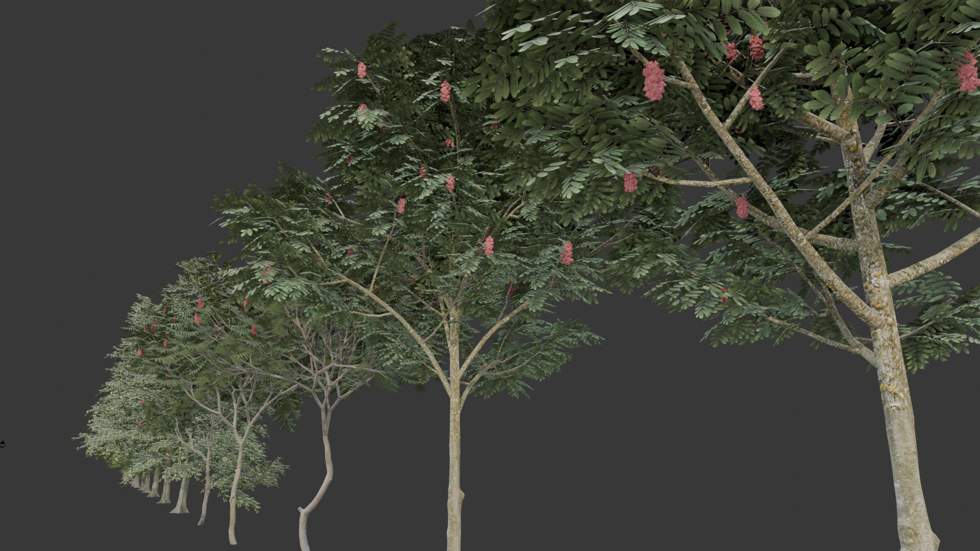 Low Poly Free Tree Pack 1 Free low-poly 3D model_8