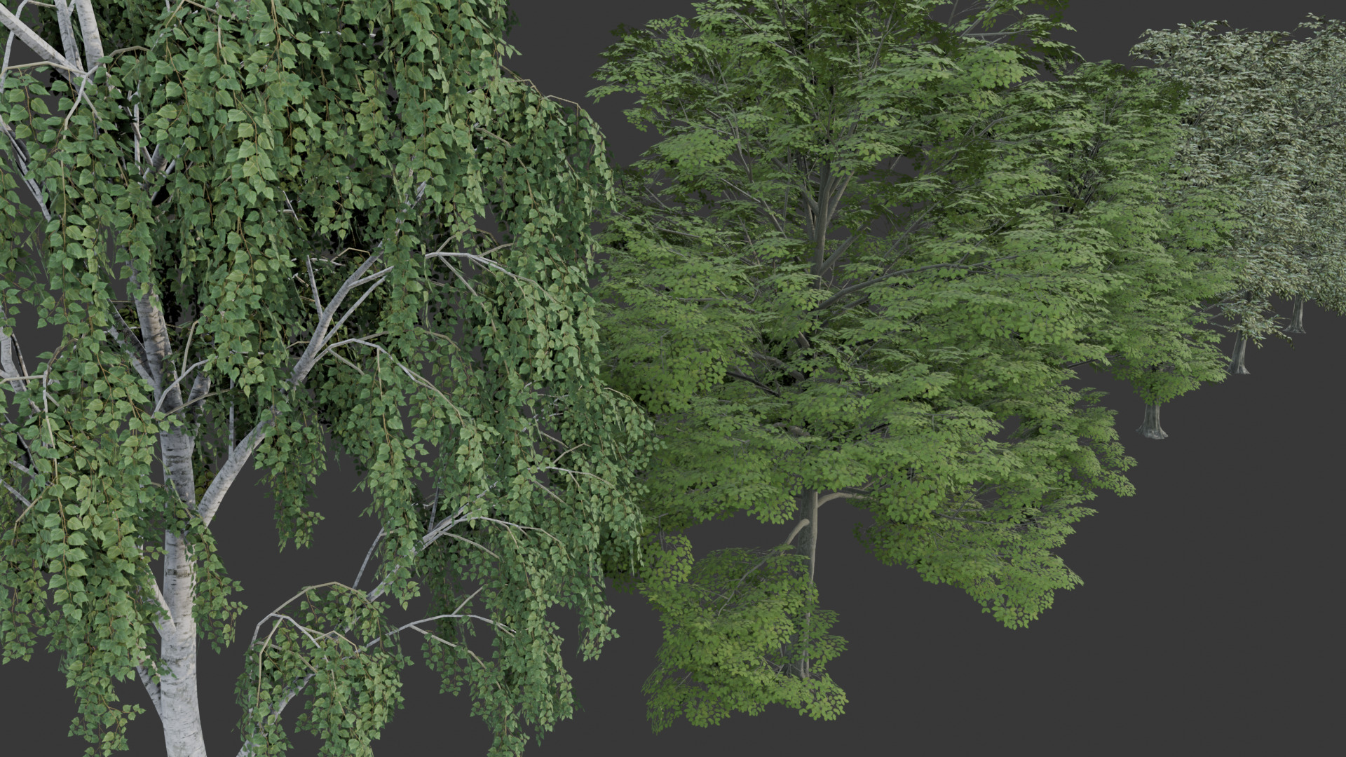 Low Poly Free Tree Pack 1 Free low-poly 3D model_6