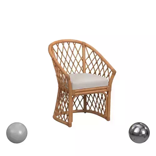 Pottery Barn Rossini Rattan Dining Chair