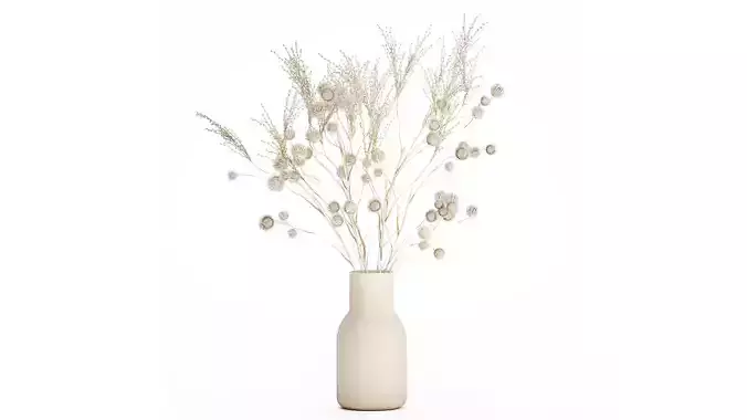 Bouquet of dried flowers from white branches of thistle 546 3D model
