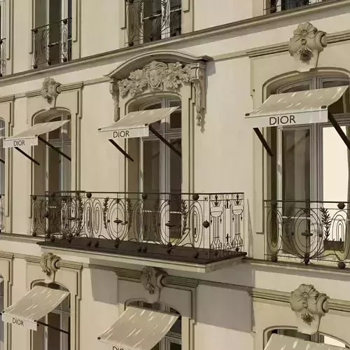 Dior  paris 3D model 7