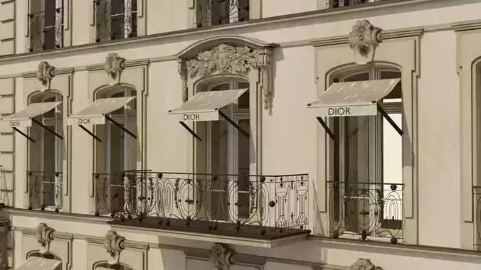 Dior  paris 3D model 5