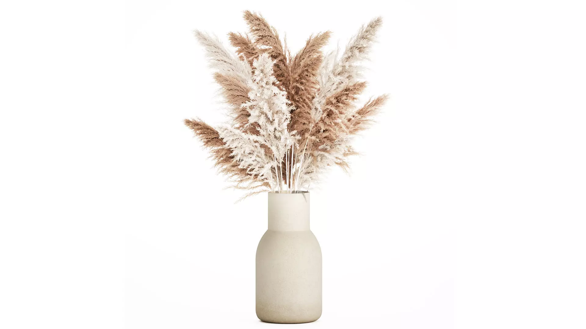 White Bouquet Dried Flowers With Branches Pampas 547 3D model