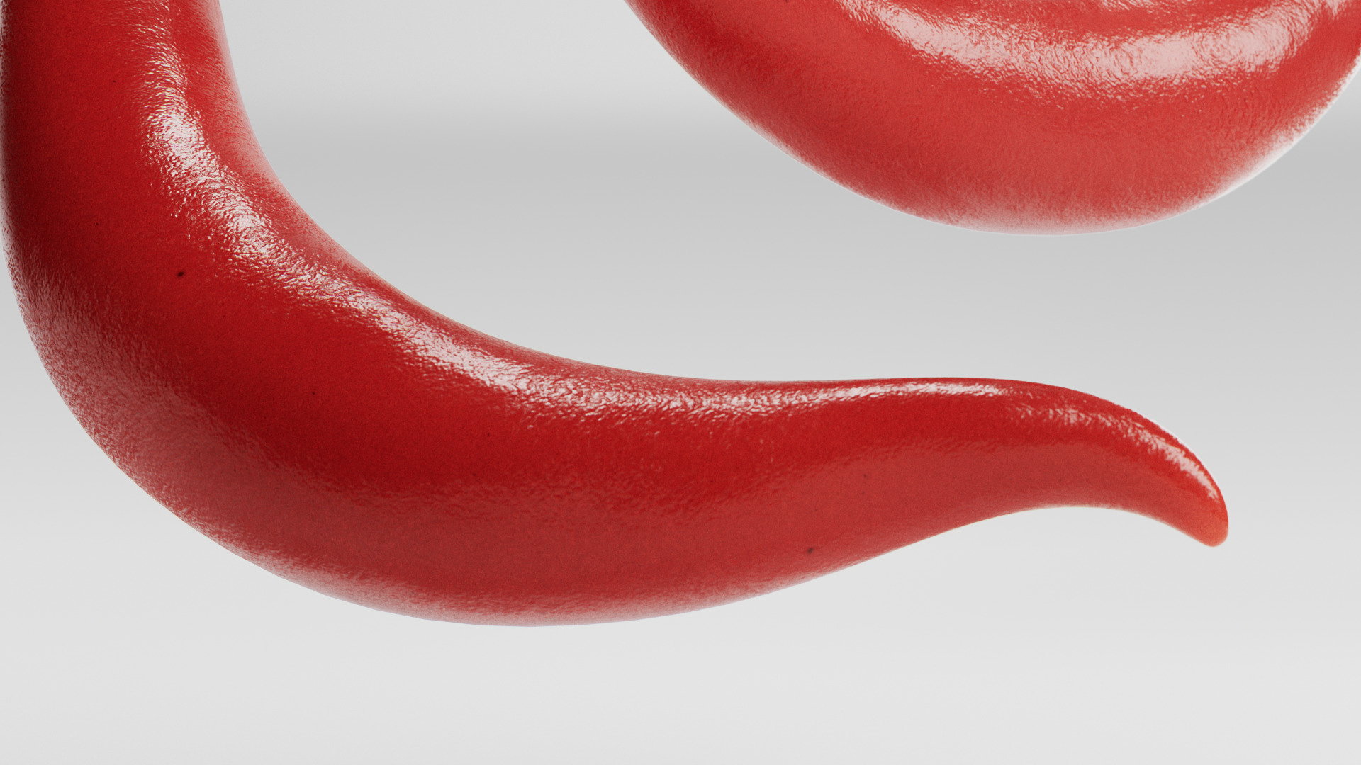 Chili Pepper 3D model_13