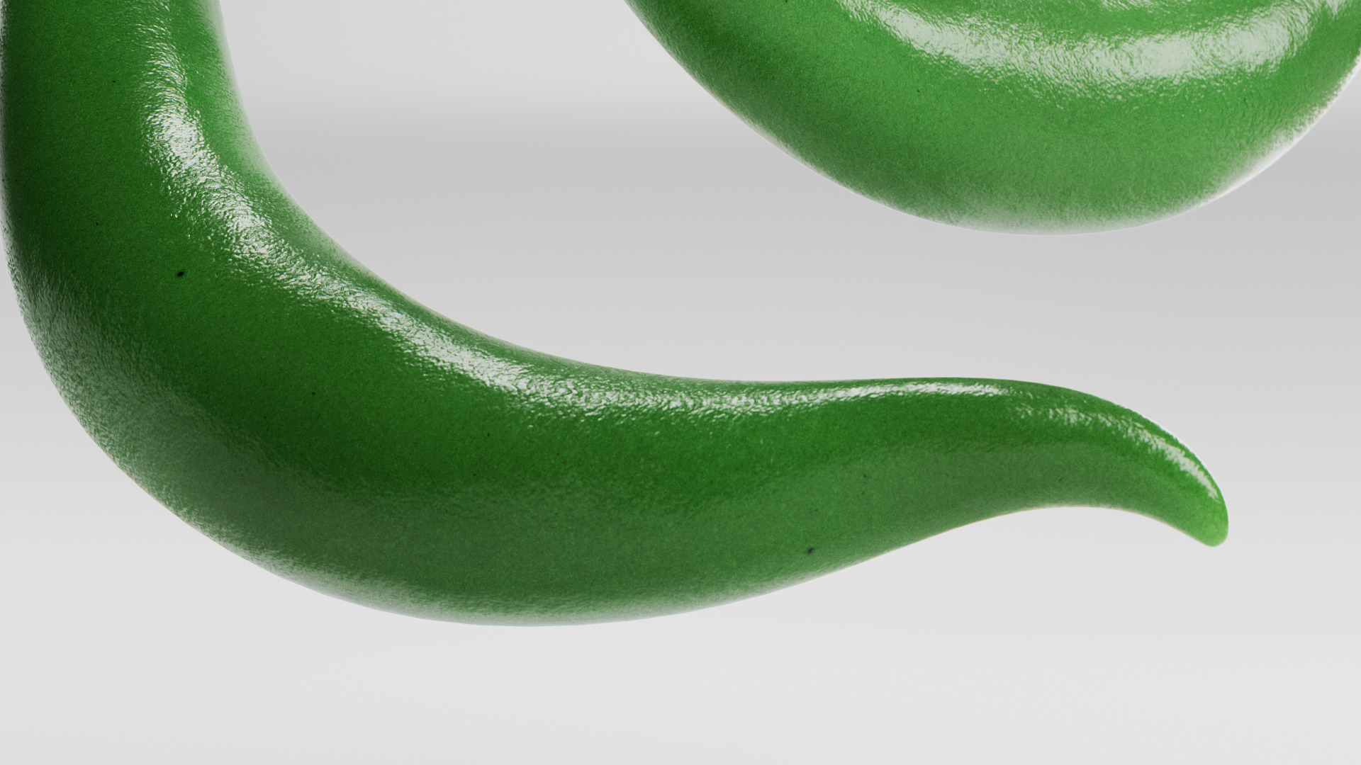 Chili Pepper 3D model_8