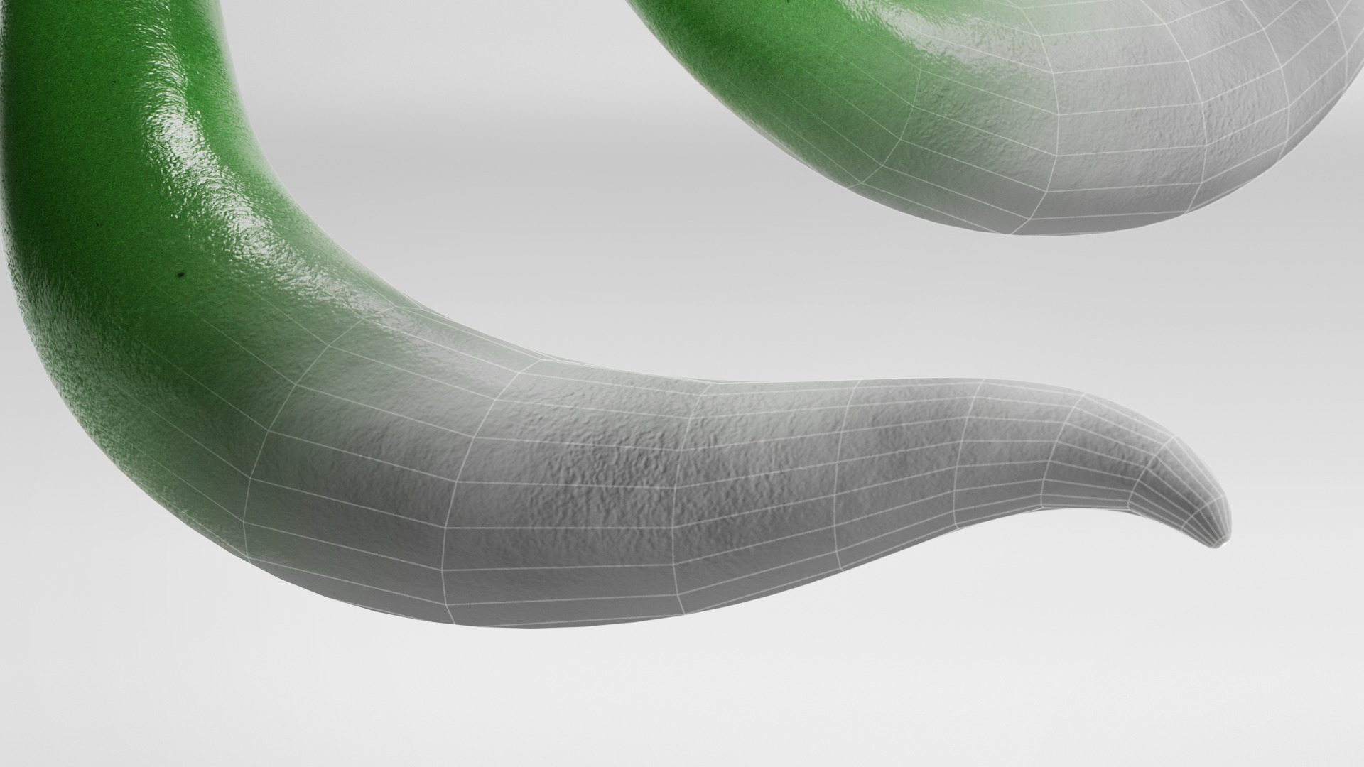 Chili Pepper 3D model_9