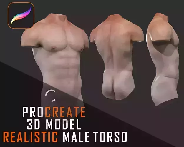 Procreate Realistic 3D Male Torso Model for Tattoo Mockups