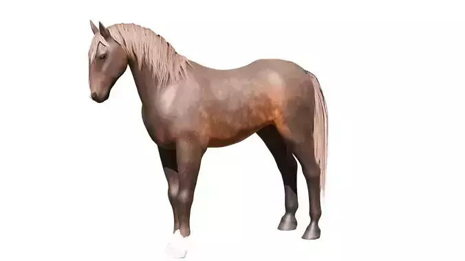 Realistic Rigged and Animated Horse 3D Model