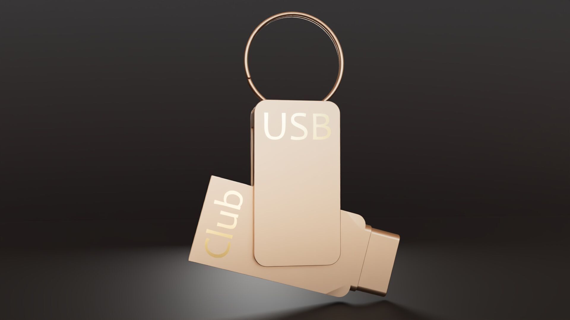 Flash disk 3D print model_4